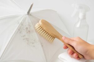 日傘のカビ取り方【プロが教える簡単除去方法で真っ黒カビもスッキリ】