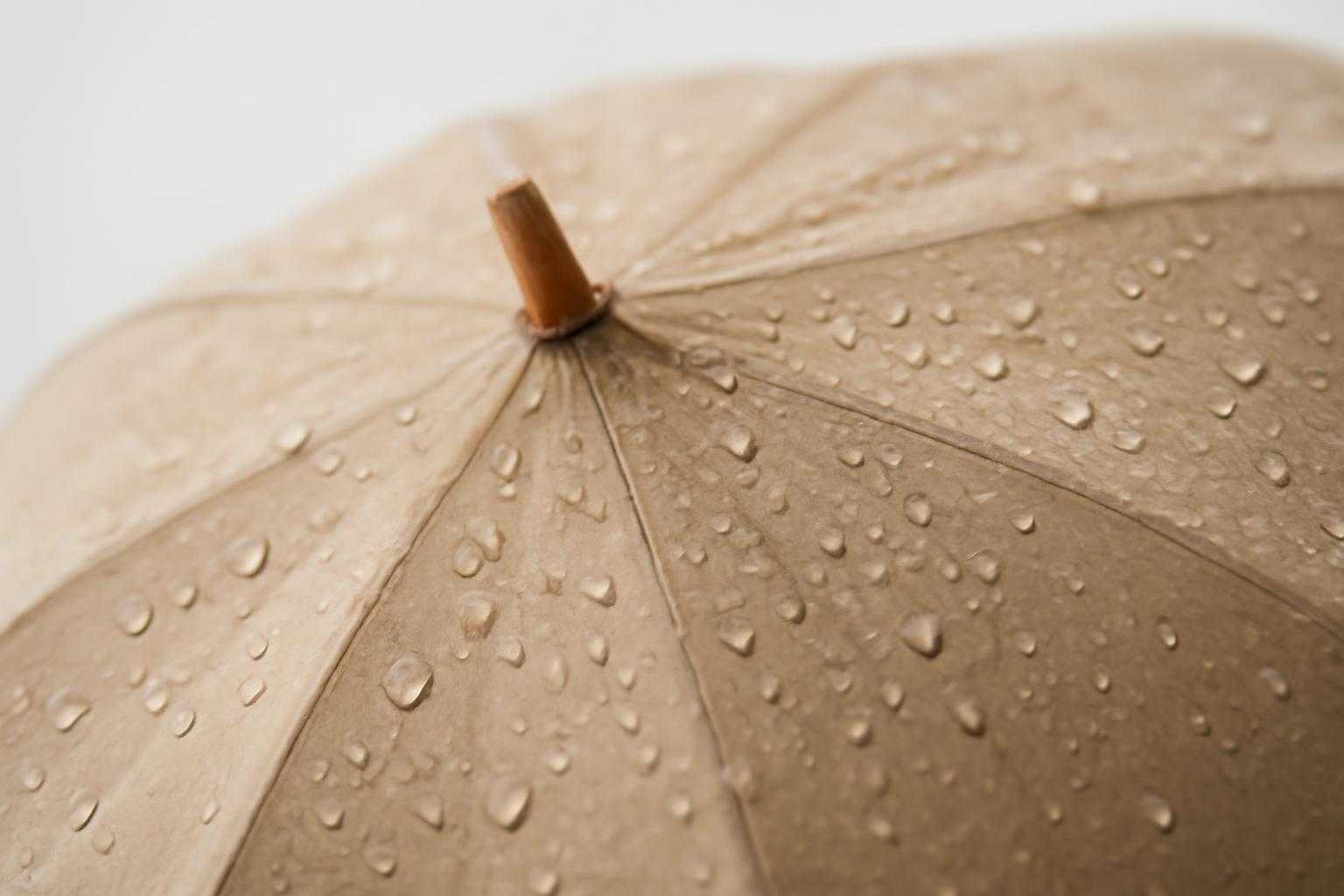 晴雨兼用傘の雨漏り原因は?長く使えない理由と対策法を徹底解説